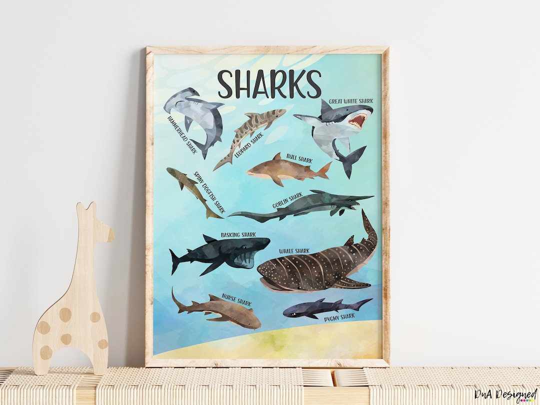 Sharks Art Print - Educational Kids Room Wall Decor (digital Download ...