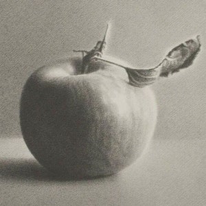 Martha Alf Apple Still Life Lithograph Print Limited Edition 230 of 250 Signed image 2