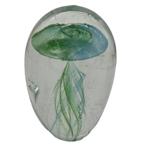 Coastal Beach Sea Green Hand-Blown Glass Case Jellyfish image 1