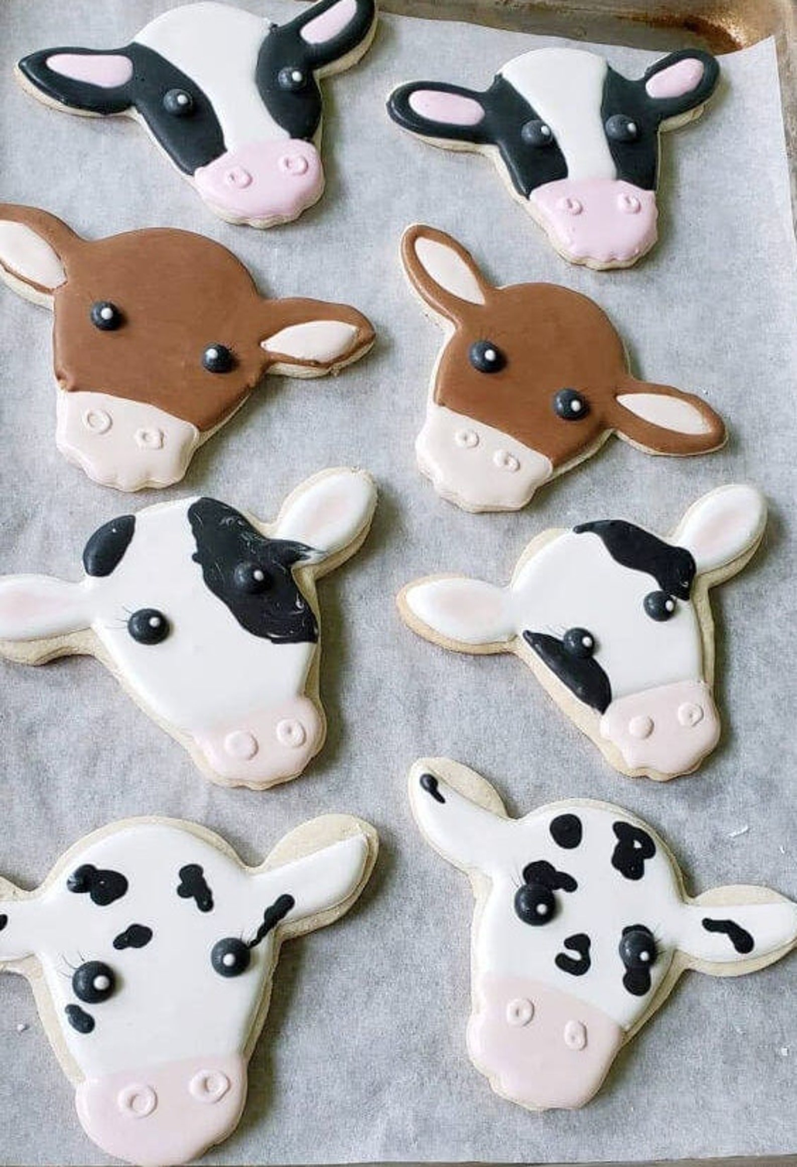 Steer Cow Head Face 5.25'' Cookie Cutter Metal Birthday Party Animal