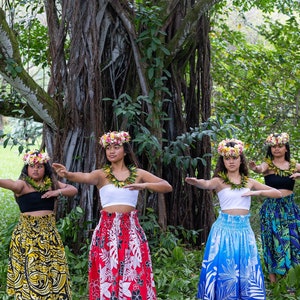 Handmade Hula Skirt Coconut Bra Luau Costume Hawaiian Polynesian