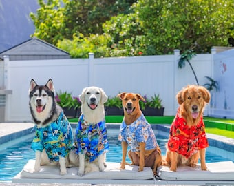 May include: Four dogs wearing colorful Hawaiian shirts are sitting on a floating platform in a swimming pool. The dogs are a husky, a golden retriever, a labrador retriever, and a mixed breed dog.