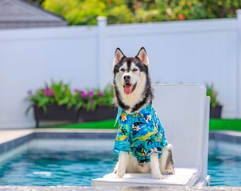 May include: A black and white husky dog wearing a blue and green Hawaiian shirt sits on a white chair by a swimming pool.