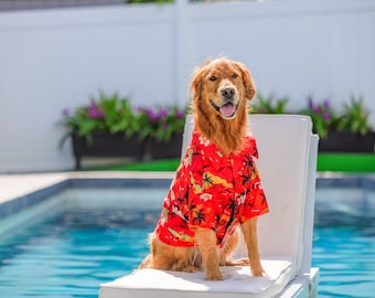 May include: A golden retriever dog wearing a red and white Hawaiian shirt sits on a white lounge chair by a swimming pool.