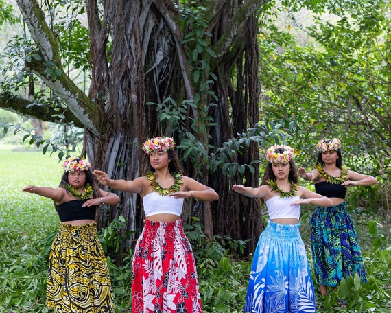 Hecho en Hawaii Arte hecho a mano Falda hawaiana Pau / Falda Hula Falda de  rendimiento de danza Hula Orden a granel Colores brillantes Bueno para las  fotos -  México