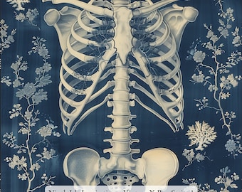 May include: A vintage X-ray image of a human skeleton, showing the rib cage, spine, and pelvis. The image is printed on a blue background with a floral pattern. The text "Ninth Isle Inspiration - Vintage X-Ray Series 1" is printed at the bottom of the image.