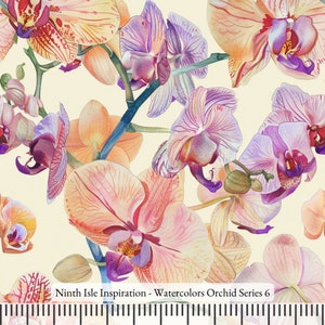 May include: A seamless pattern featuring watercolor illustrations of pink, purple, and orange orchids on a cream background. The orchids are arranged in a random pattern and overlap each other. The text "Ninth Isle Inspiration - Watercolors Orchid Series 6" is at the bottom of the image.