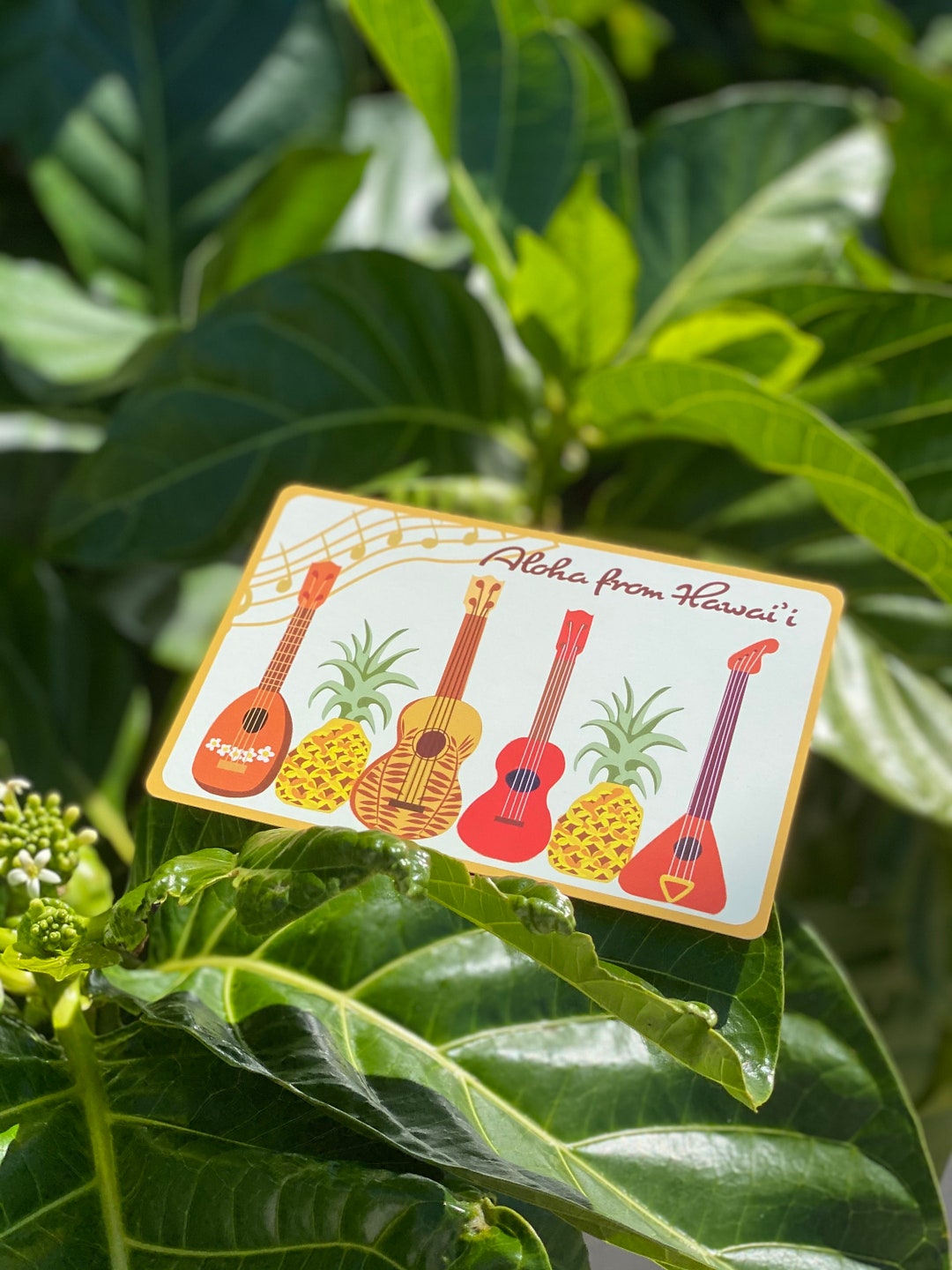 Ukulele Hawaiian Art Postcard Self Designed Postcard Set Etsy