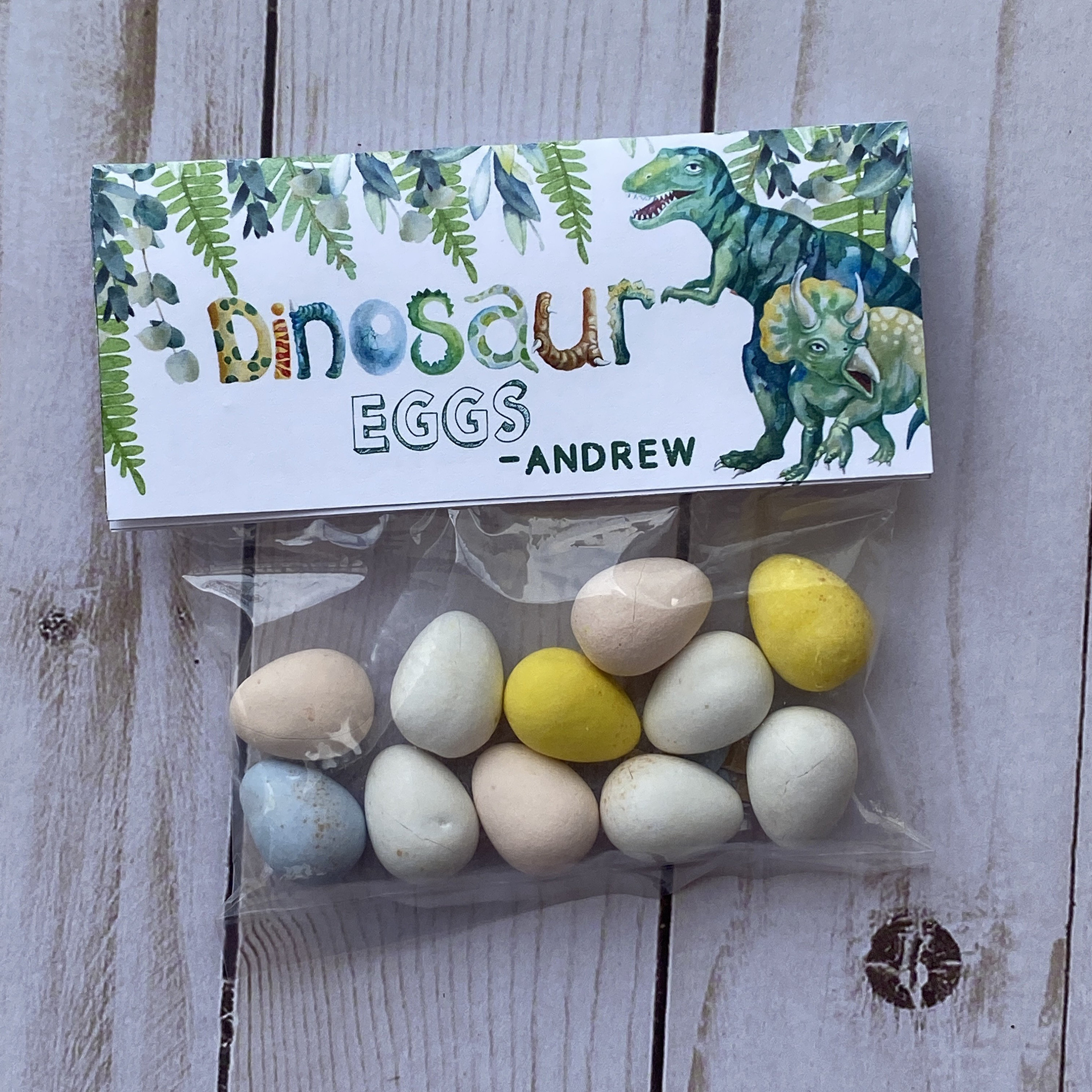 Dinosaur party favor Header Card and Bags, Thank you for stomping by