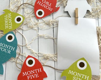 May include: A collection of colorful fish-shaped monthly milestone cards. The cards are red, green, and blue, with white text indicating the month. A blank white card is held by a wooden clip, and the background includes a fishnet and a white wooden surface.
