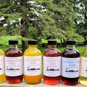 Op de afbeelding: Acht glazen flessen met verschillende gekleurde siropen met etiketten waarop staat "Raspberry Mint Shrub", "Earl Jalapeno Shrub", "Strawberry Pepper Shrub", "Spicy Horseradish Shrub", "Rhubarb Basil Shrub", "Blueberry Lemon Shrub", "Apple Tarragon Shrub" en "Blackberry Thyme Shrub".