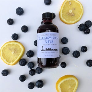 Op de afbeelding: Een glazen fles met bosbessen-citroensiroop, een ambachtelijke drankmixer op basis van azijn, omringd door bosbessen en citroenschijfjes op een witte achtergrond. Het etiket luidt "Boondock Entertainments Blueberry Lemon Shrub Artisan Vinegar Drink Mixer"