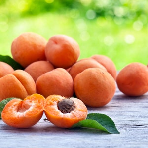 Apricot Jam Homemade Apricot Preserves Pure All Natural Jams From our Farm to Your Table image 4