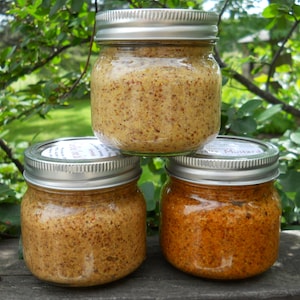 Pick 3 Artisan Gourmet Mustard - Choose From 13 Coarse Ground Flavors perfect for Charcuterie Board