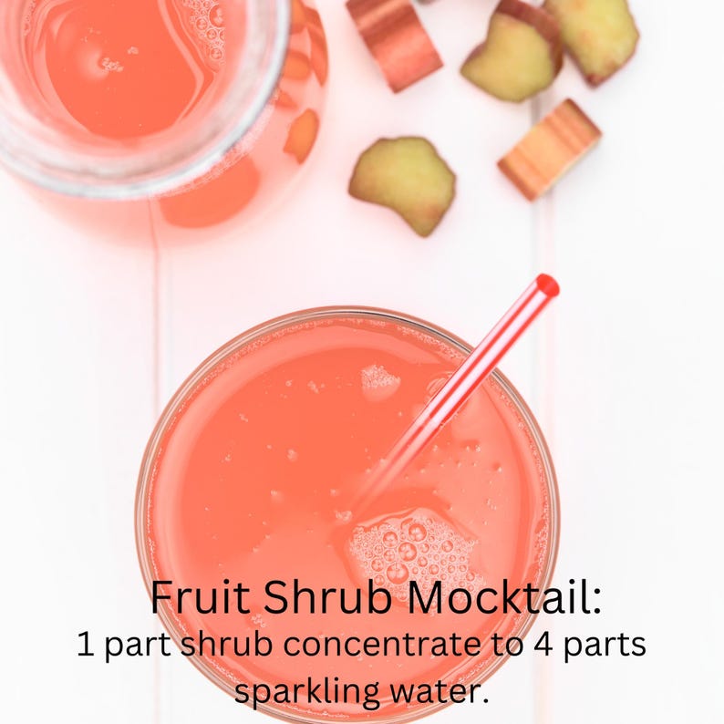 Op de afbeelding: Een glas roze fruit shrub mocktail met een rood-wit gestreepte rietje. De tekst luidt "Fruit Shrub Mocktail: 1 deel shrub concentraat op 4 delen bruiswater."