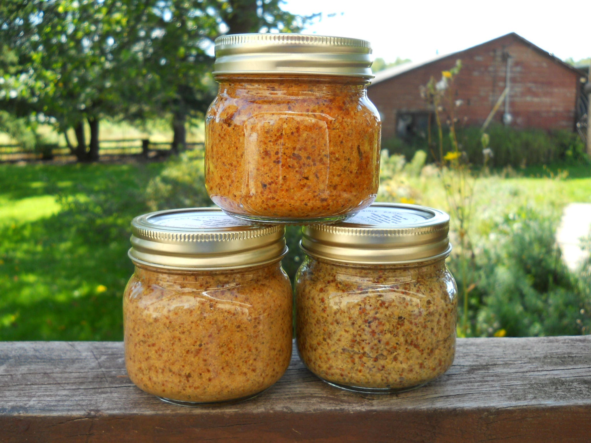 Sweet Raspberry Mustard Artisan Gourmet Mustard 8 oz Jar Etsy