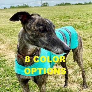 COOL VEST Wet Wring Wear NO more hot dogs Hi Vis night safety dogs reflective dog active neon dog wear canine hiking gear over heated dogs