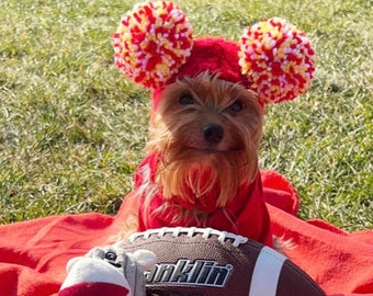 Kansas City Chiefs NFL colors Dog Hat,CUSTOM ORDER,Greyhound Hat,Whippet Hat,maltese Hat,Sighthound Hat Chihuahua Hat,Yorkie Hat Saluki Hat