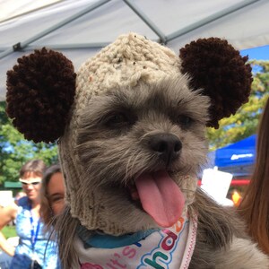 Ewok clearance dog toy
