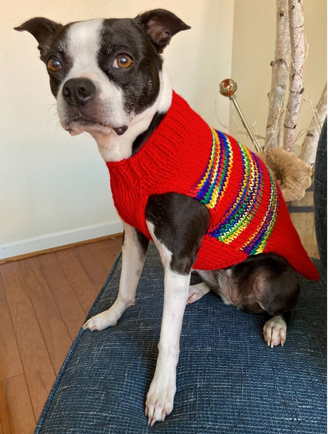 Sweater Pattern Boston Terrier Dog Clothes Boston Terrier Dog