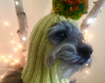 SM cute yellow pom pom dog hat hand knit stretch great fit warm soft pet clothing small breed dog beanie Iggy maltipoo schnauzer yorkie chi