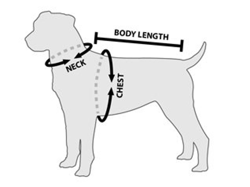 May include: Diagram showing how to measure a dog for a harness. The diagram shows a dog with lines indicating where to measure the neck, chest, and body length.