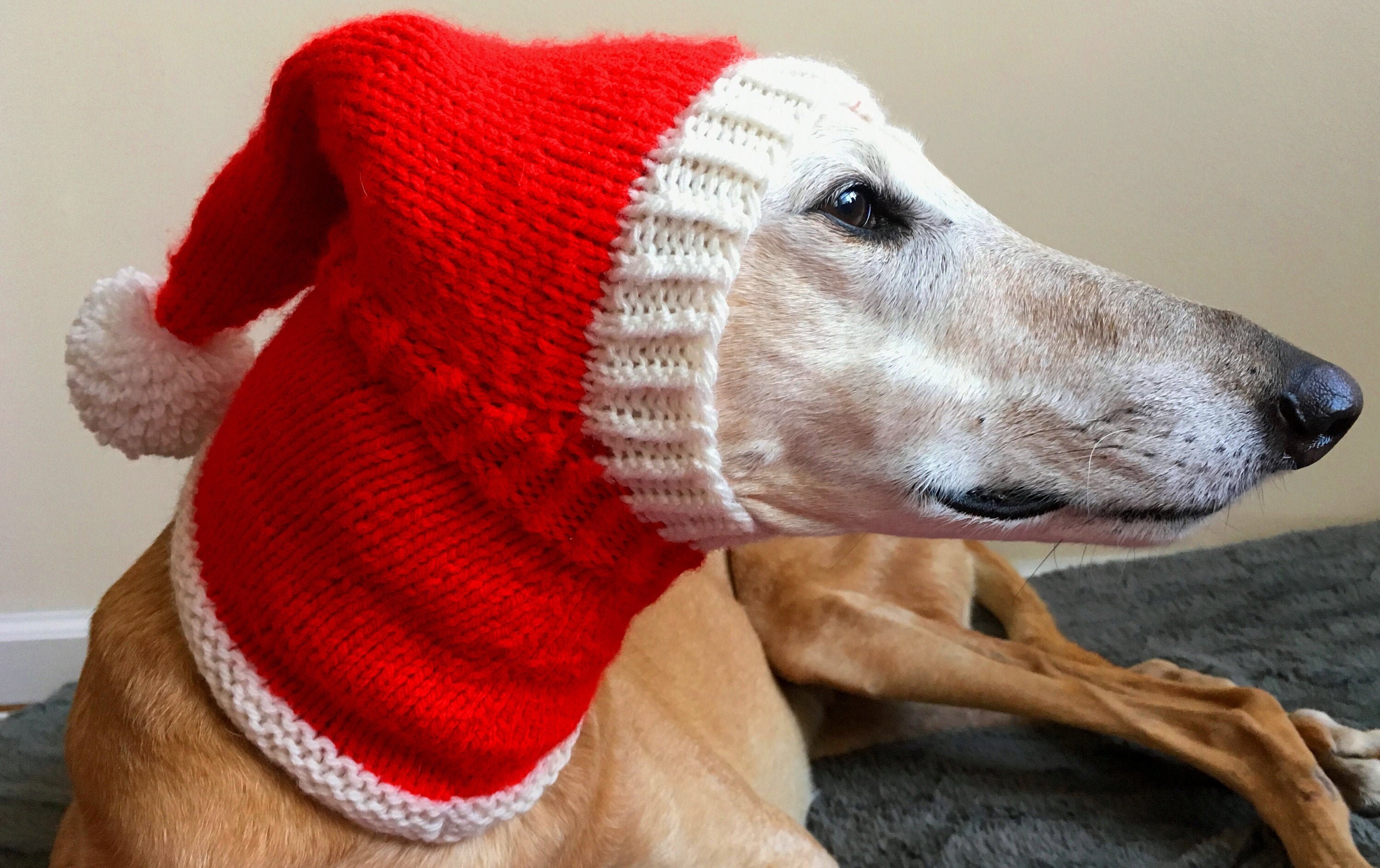 Dog Santa Hat CUSTOM ORDER Greyhound Hat Maltese Hat Etsy