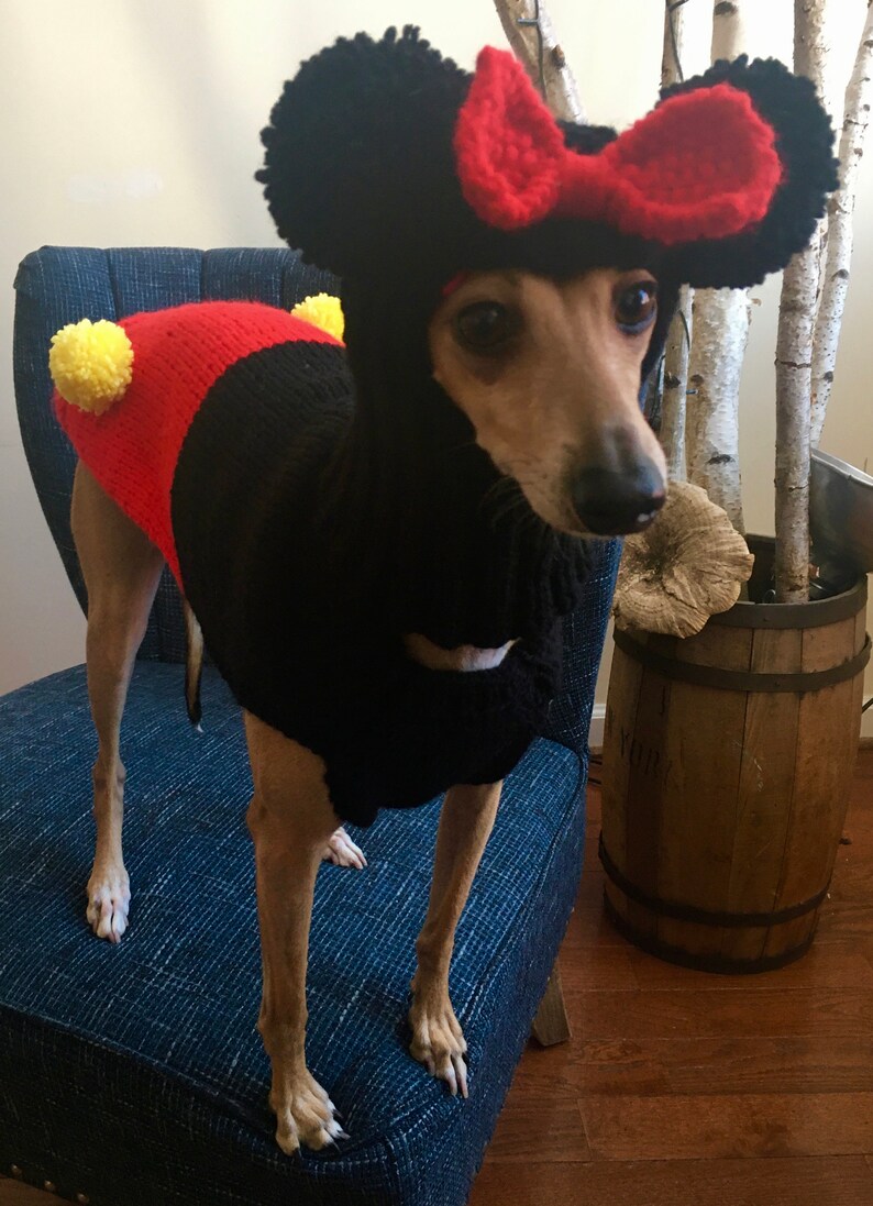 Mickey Minnie Mouse DISNEY dog suit sweater hat combo hand Etsy