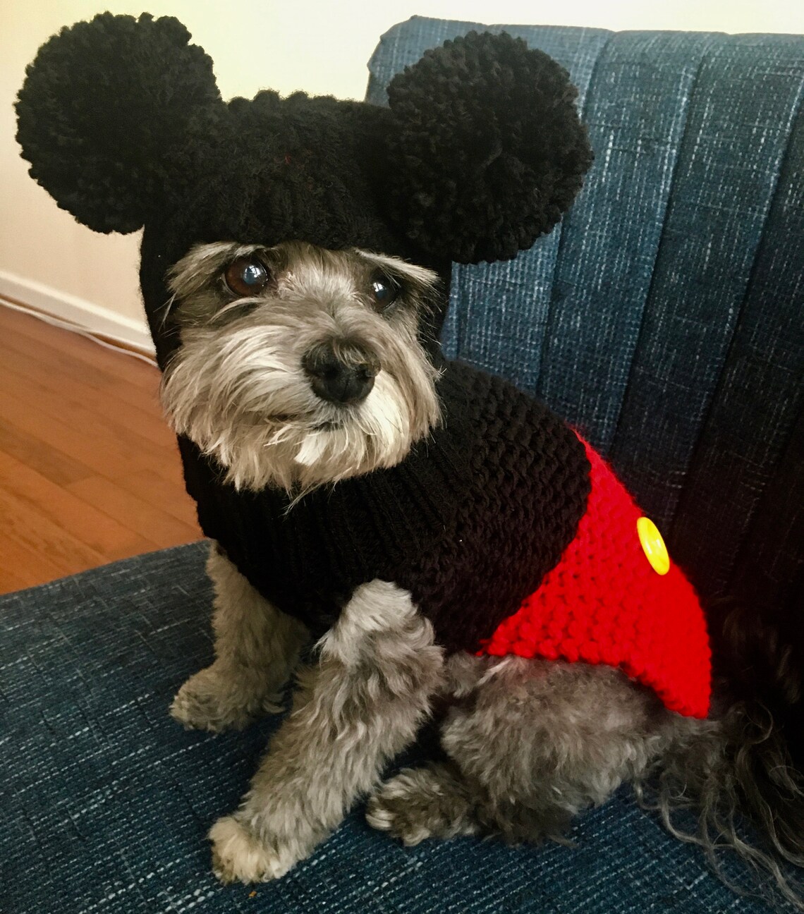 Mickey Minnie Mouse DISNEY dog suit sweater hat combo hand Etsy