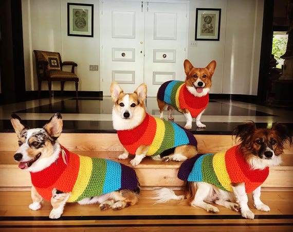 Etsy Dog Jumper Clearance, 60% OFF 