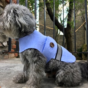 May include: A small gray dog wearing a light blue fleece dog vest with a reflective strip and a brown button.