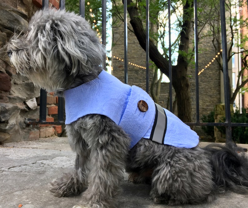 May include: A small gray dog wearing a light blue fleece dog vest with a reflective strip and a brown button.