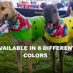 May include: Two greyhounds wearing colorful tie-dye bandanas and bright green and yellow dog coats. The text "AVAILABLE IN 8 DIFFERENT COLORS" is at the bottom of the image.