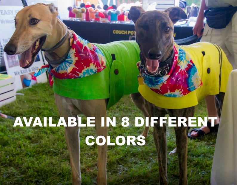 May include: Two greyhounds wearing colorful tie-dye bandanas and bright green and yellow dog coats. The text "AVAILABLE IN 8 DIFFERENT COLORS" is at the bottom of the image.