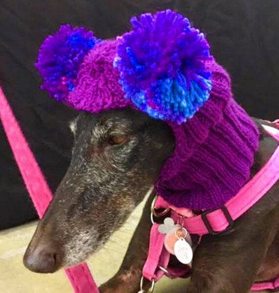 Dog Hat CUSTOM ORDER Greyhound Hat Whippet Hat Italian Etsy