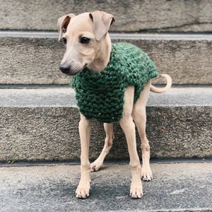 Suéter de lana suave y esponjoso para perros (ropa para perros) - Suéter de lana tejido a mano para perros, suéter verde, accesorio para perros