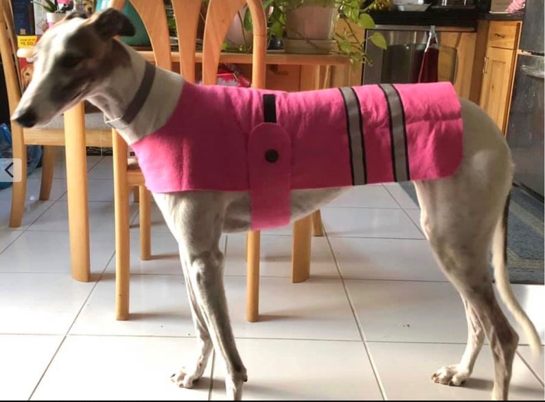 May include: A white dog wearing a pink fleece dog coat with reflective strips. The coat has a black button and a black strap.