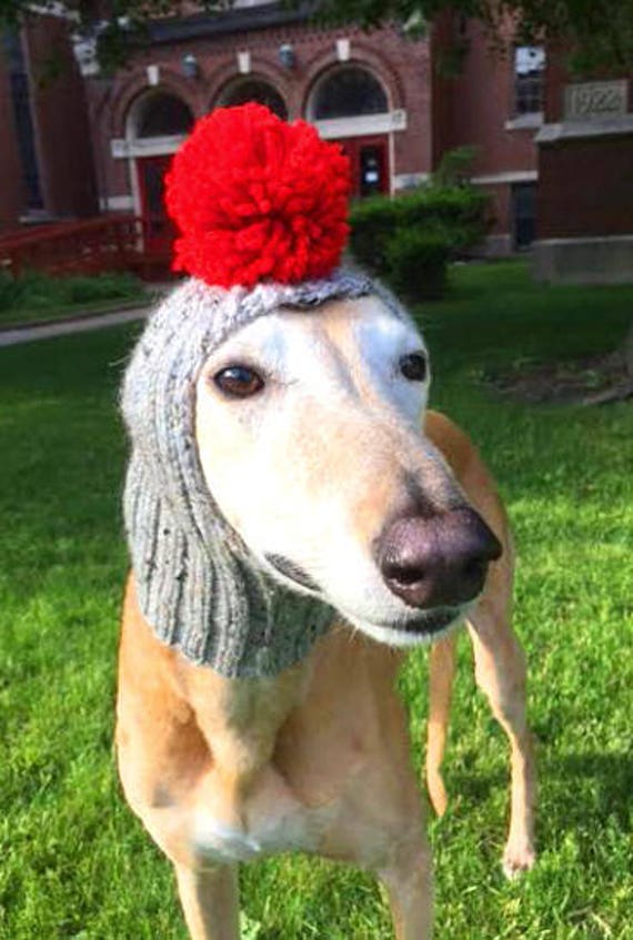 Dog Hat CUSTOM ORDER Greyhound Hat Whippet Hat Italian Greyhound Hat Galgo Hat Sighthound Hat Chihuahua Hat Yorkie Hat Saluki Hat