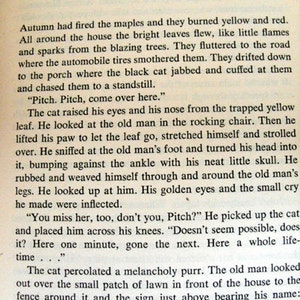 May include: A page from a book with black text on a cream background. The text describes a scene with a cat, an old man, and autumn leaves. The word "Antiques" is visible.