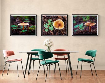 Mushroom Wall Art Set of 3 – Forest Botanical Photography Prints, Woodland Nature Gallery Wall