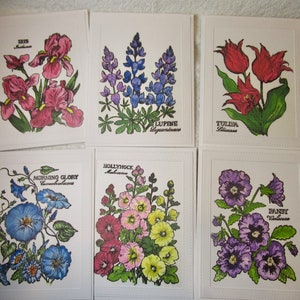 Bloemennotitiekaarten set van 6, met enveloppen, met de hand gemaakt, blanco binnenkant, kleurrijke bloemenprints, tuinnotities en GRATIS verzending voor deze set