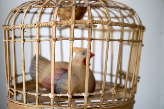 En Rotin Vintage Boho Suspendu Cage à Oiseaux Cage à Poule En Bois Bois Courbé