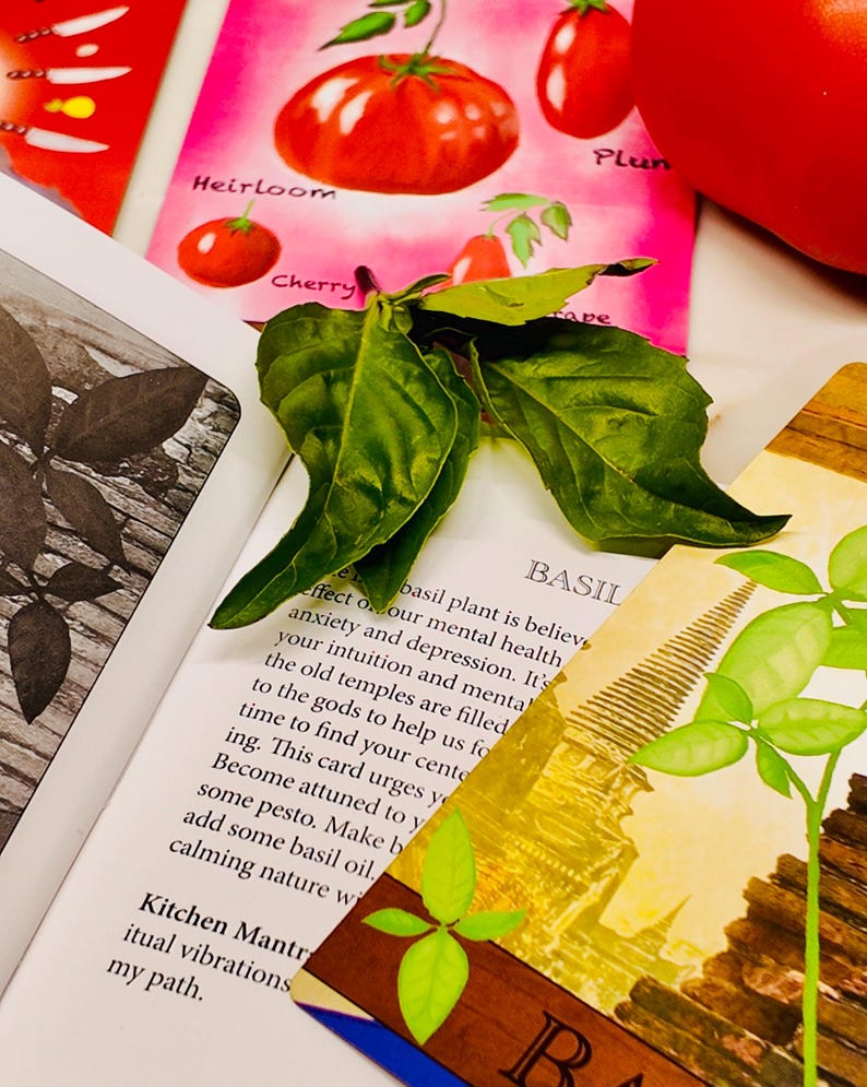 May include: A close-up of a still life featuring fresh basil leaves, tomato illustrations, and text. The text includes the word "Heirloom" and "Cherry". The basil leaves are a vibrant green, and the tomatoes are a bright red.