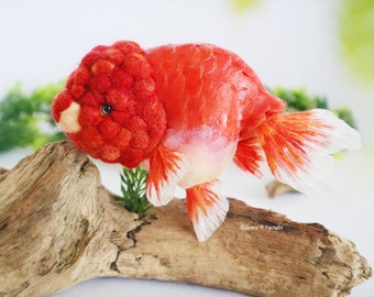 Red and white Ranchu Wool Felt Goldfish Needle Felting Miniature Fish Art aqarium Cherry demetyoubi