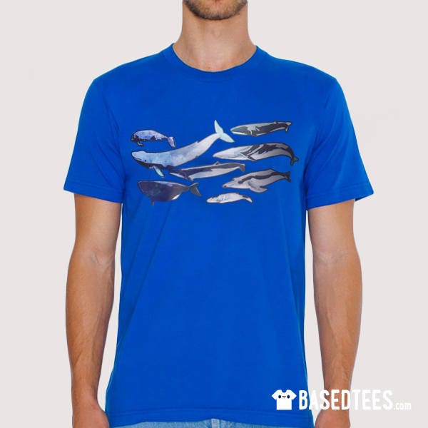 Eight Types of Whales T-shirt - Main Image