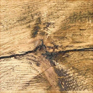 Op de afbeelding: Close-up van een verweerd houten oppervlak met een knoop in het midden. Het hout heeft een natuurlijke, rustieke uitstraling met een lichtbruine kleur en donkerbruine strepen.