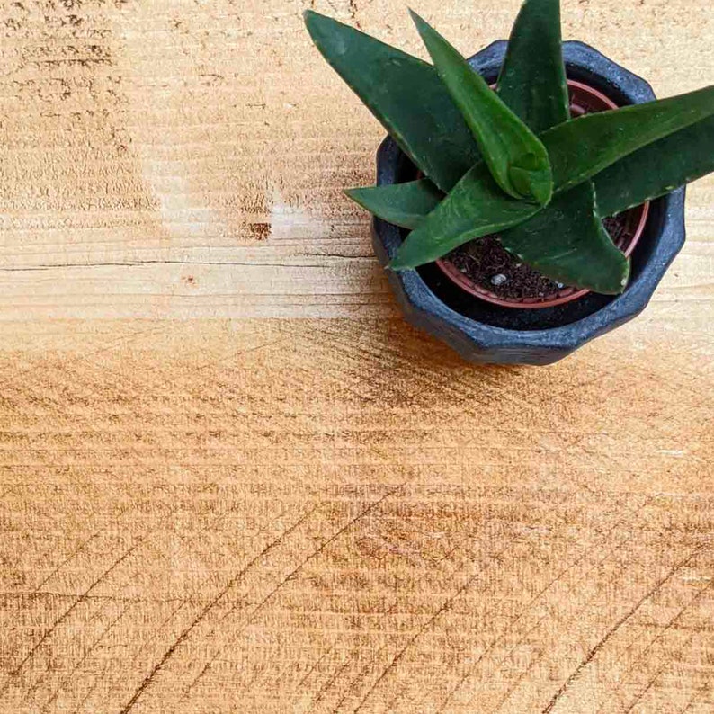 Rustikale Regalböden aus Holz handgefertigt mit nachhaltigem Massivholz 15cm Tiefe x 5cm Dicke Ben Simpson Möbel Bild 4