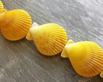 Coquillage nacré jaune 40 x 30 mm