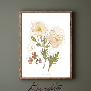 Mexican Poppies Isaiah 58 The Lord will Guide You  // Watercolor Fine Art print