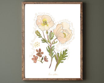 Mexican Poppies Isaiah 58 The Lord will Guide You  // Watercolor Fine Art print